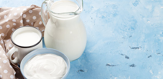 Fermented dairy |  products