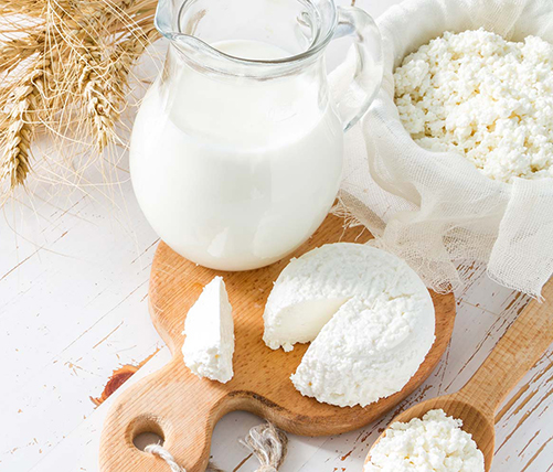 Milch_Karriere